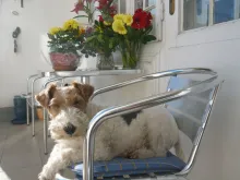 Bequem